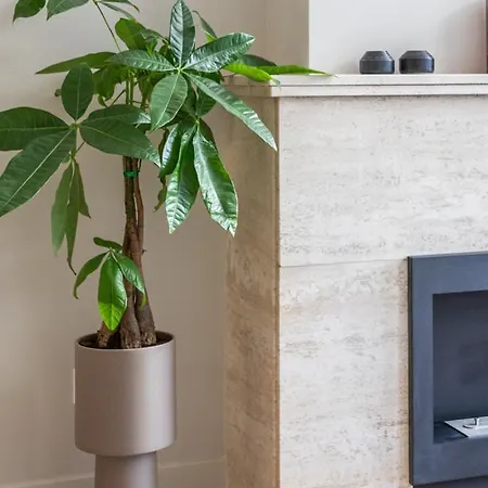 Luxe Stadsappartement Dichtbij Apartamento *